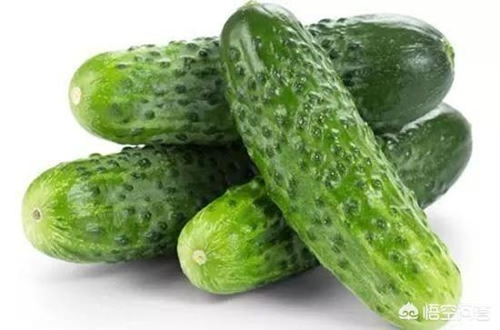 吃什么能瘦身<strong>減肥食物</strong>？