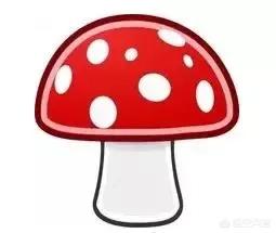 180斤大肚子<strong>減肥食物</strong>，如何搭配減肥食譜？