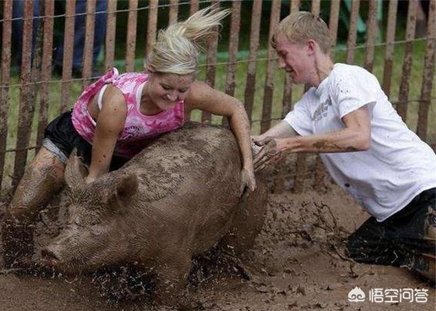 人的腸子和豬的腸子是不是類似<strong>腸道</strong>？為什么？