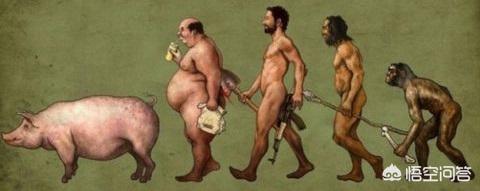 人的腸子和豬的腸子是不是類似<strong>腸道</strong>？為什么？