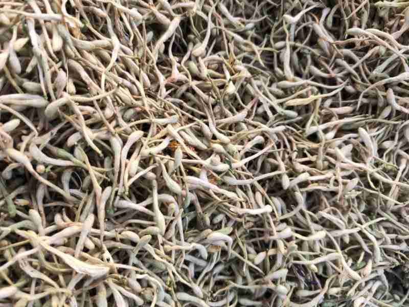 金銀花的主要產(chǎn)地是哪里金銀花的產(chǎn)地是